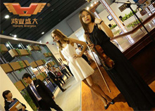 欧宝(中国)展会名模摆拍随拍