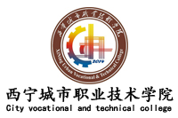 青海西宁城市职业技术学院办公欧宝手机平台采购项目欧宝(中国)欧宝手机平台381W中标