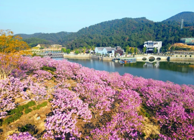 欧宝(中国)集团鸿园花海欢迎您！